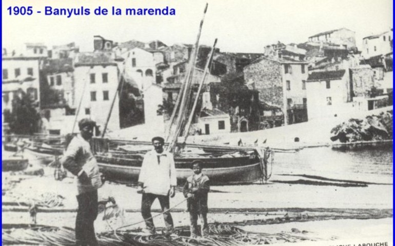 19