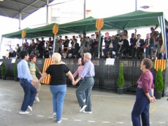 cobla19-